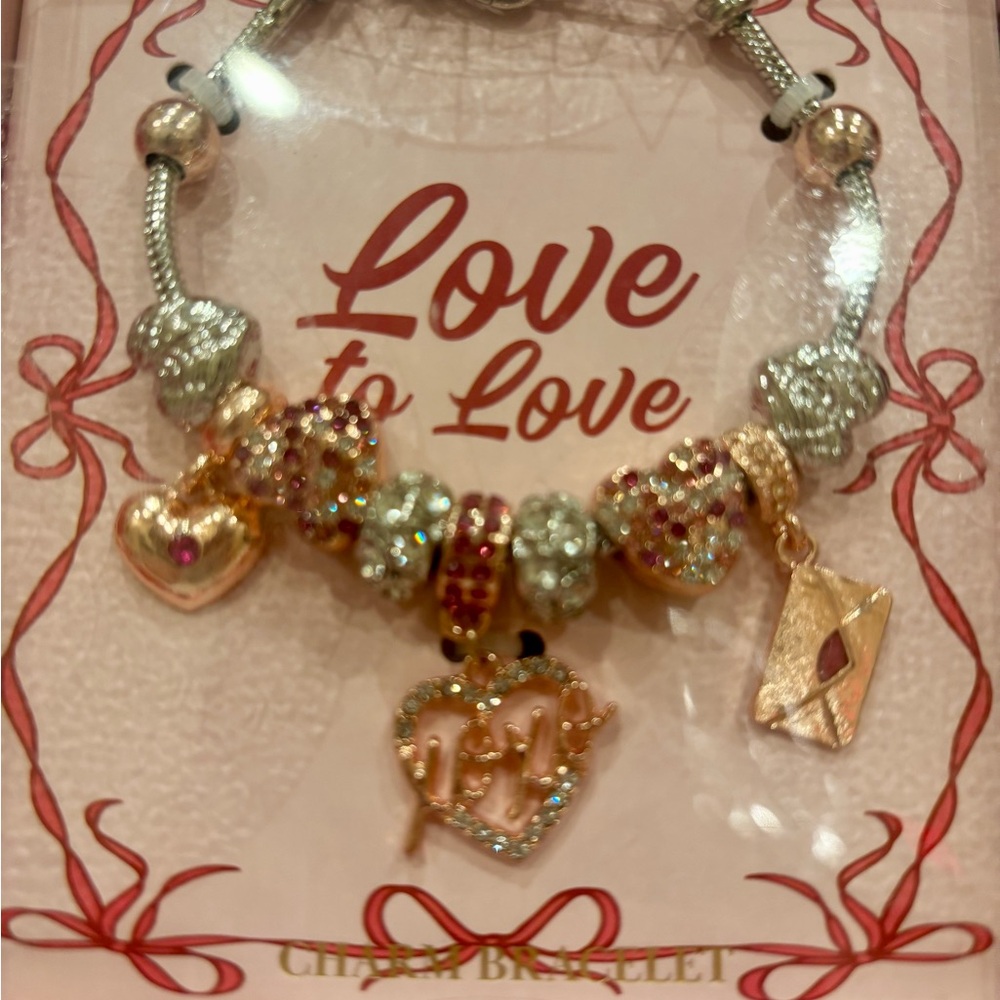 Chic Love to Love Charm Bracelet in Rose Gold and Silver. NWT! Valentine’s Day❤️